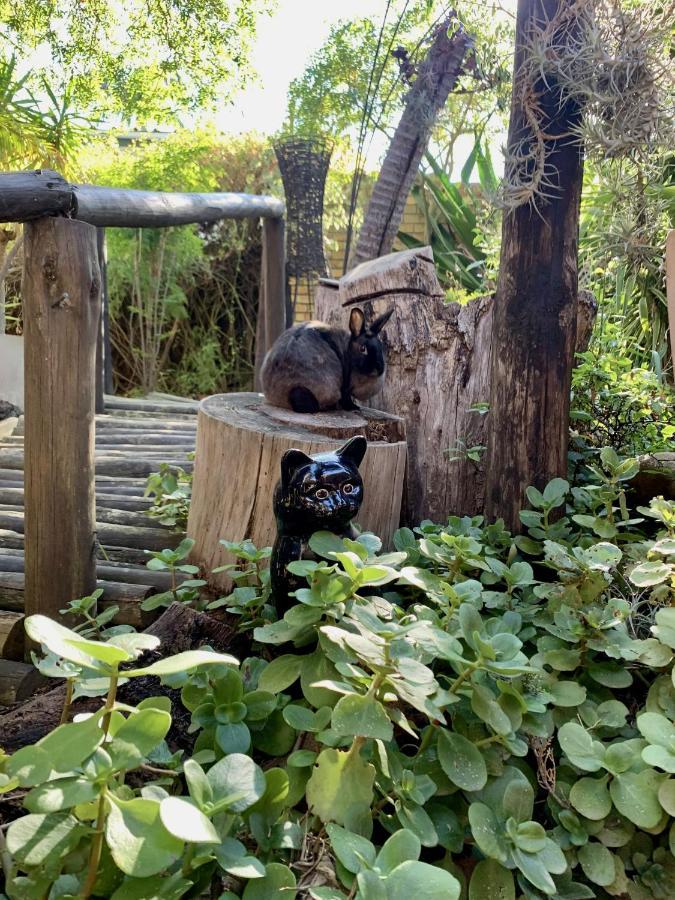 The Little Hideaway Guesthouse Stellenbosch Luaran gambar