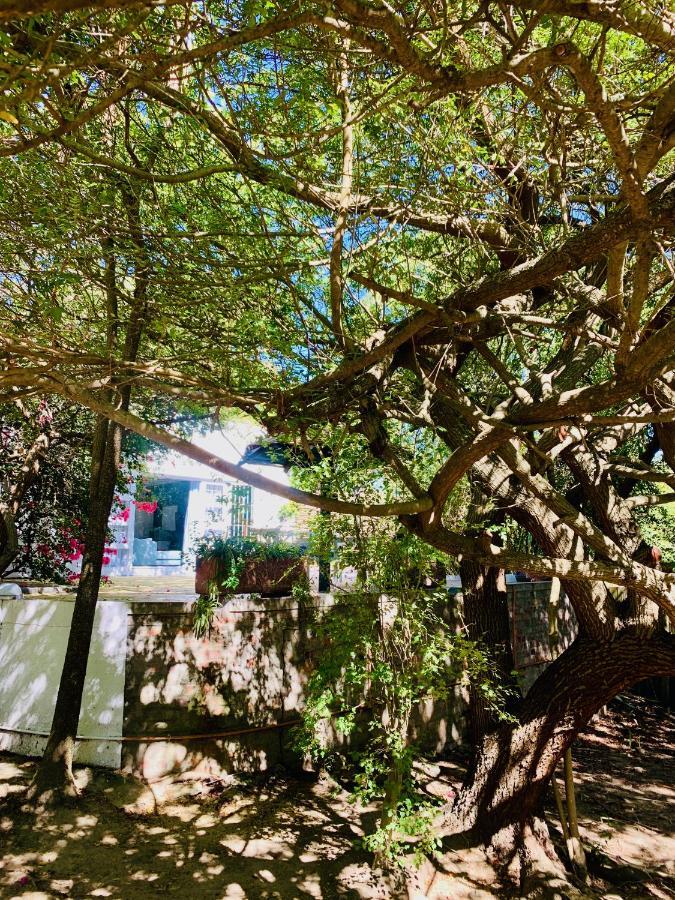 The Little Hideaway Guesthouse Stellenbosch Luaran gambar