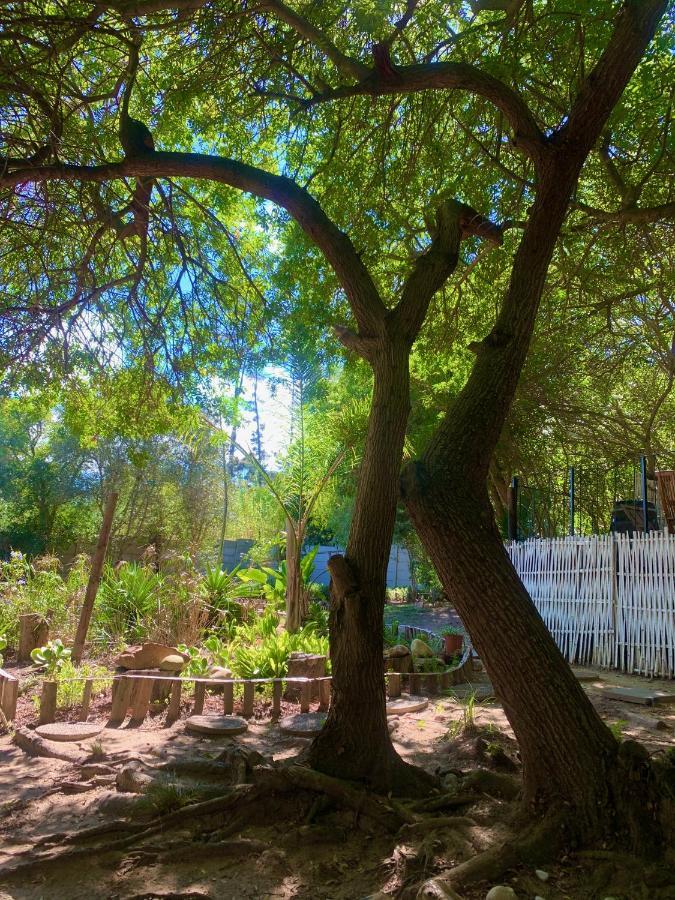 The Little Hideaway Guesthouse Stellenbosch Luaran gambar