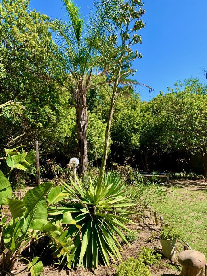 The Little Hideaway Guesthouse Stellenbosch Luaran gambar
